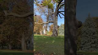 Spadina Museum toronto fall autumn park [upl. by Lletnahc922]