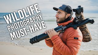 Gimbal Heads A Wildlife Photography MUSTHAVE And How to Use It [upl. by Anivek]