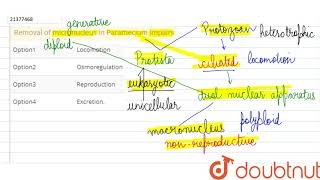 Removal of micronucleus in Paramecium impairs [upl. by Elwaine862]