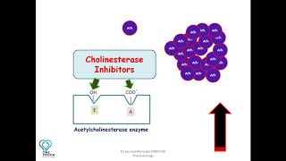 MOA of Cholinesterase inhibitorsAnticholinesterases edrophonium neostigmine  Organophosphates [upl. by Ainafetse]