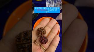 How to identify REAL RUDRAKSHA ✨❤️  Difference between real and fake Rudraksha ❌ [upl. by Ecnerwaled]