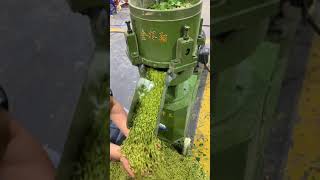 Fresh grass pellet making machine exportwoodpellet woodpelletmachine machine woodpelletfactory [upl. by Garbe496]