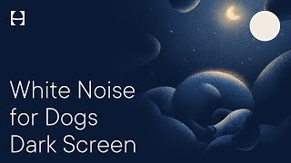 White Noise for Dogs amp Pets During Fireworks Calm Relax Sleep Reduce Anxiety  10 Hours No Ads [upl. by Moss340]