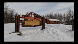 Iditarod Headquarters Wasilla Alaska 2024 [upl. by Nylorak]