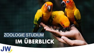 Das Zoologie Studium im Überblick [upl. by Nywroc]