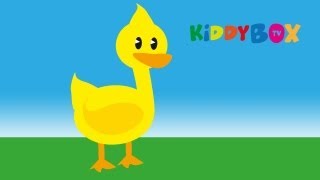 Alle meine Entchen  Kinderlieder KIDDYBOXTV [upl. by Yaron]