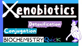 Xenobiotics  Metabolism of Xenobiotics  Detoxification  Conjugation  Biochemistry MBBS 1st yr [upl. by Yancy382]