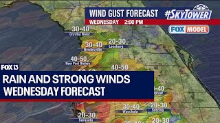 Tampa weather Tracking Hurricane Milton [upl. by Aileduab885]