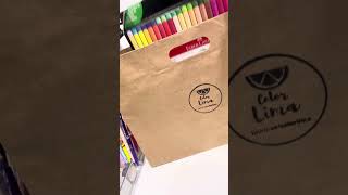 Regalo de cumpleaños lleno de plumones y útiles para escribir 🤩 lettering bulletjournal plumones [upl. by Yrro]