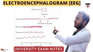 Electroencephalogram EEG  CNS Physiology [upl. by Aiksas]