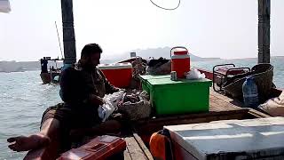 charna island fishing trip 24102024 fish abhi off hai maiyya on hai charna island [upl. by Lainey714]