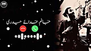 Jaanam FidaeHaideri Ringtone  Sadiq Hussain  BIN RINGTONES [upl. by Nnylyoj]