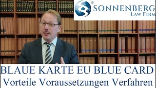 Blaue Karte EU Blue Card Voraussetzungen Verfahren Vorteile English Subtitles [upl. by Natalie111]