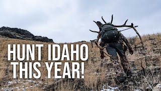 How to Hunt in IDAHO This Year  Idaho Controlled Hunts Explained [upl. by Nannek]