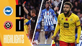 Own Goal earns away point  Brighton 11 Sheffield United  Premier League Highlights  Dahoud red [upl. by Bernt]