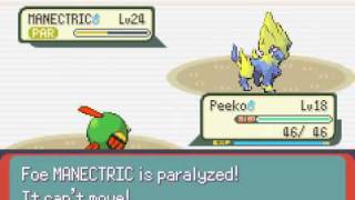 Pokemon Emerald Unevolved Run  Episode 13 [upl. by Collin]