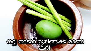 മുരിങ്ങക്ക മാങ്ങ കറി  muringakka manga curry kerala style  drumstick mango curry kerala style [upl. by Garreth]