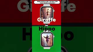 Pick one game Hippo or Giraffe on a tightrope PICK ONE NOW [upl. by Brooks]