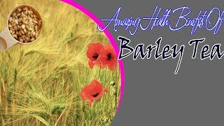 Amazing Health Benefits Of Barley Tea  Useful info [upl. by Yssirk812]