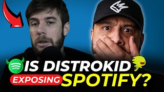 Did DistroKid Accidentally Expose Spotify For FAKING STREAMS [upl. by Kathi]