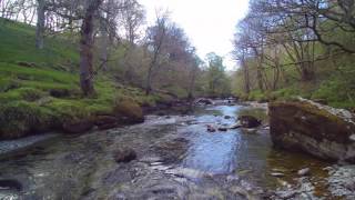 Gilfach wildlife trust [upl. by Erdied]