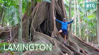 LE PARC NATIONAL DE LAMINGTON AUSTRALIE [upl. by Cressler]