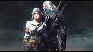 THE WITCHER 2 ASSASSINS OF KINGS All Cutscenes Roche Path Game Movie 1080p HD [upl. by Anastasia]