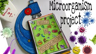 Project on Microorganisms l Grade 8 [upl. by Thayne974]