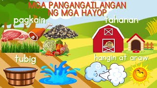 MGA PANGANGAILANGAN NG HAYOP 4th Quarter Week 1 Kindergarten DBOW Cher Daryl [upl. by Meagher]