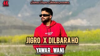 Jigro x Dilbara Ho ll Kashmiri New Trending Song ll Yawar Wani New Song ll Suhail Fayaz Shilwati [upl. by Olympe835]