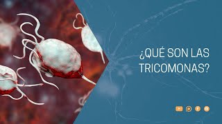 ¿Qué son las tricomonas [upl. by Siroled]