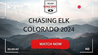 2024 Southern Colorado Elk [upl. by Amolap]