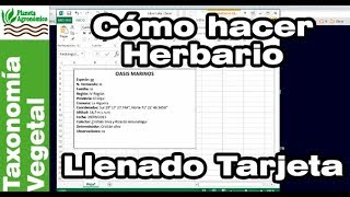 Cómo hacer un HERBARIO 🍃🍀  55  Llenado de TARJETA 📝 de IDENTIFICACIÓN de planta y muestra [upl. by Amiarom346]