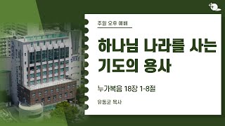 24 4 28 대구부광교회 주일 오후예배 하나님 나라를 사는 기도의 용사  유동균 목사 [upl. by Erving345]