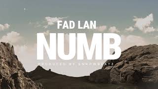 Fad Lan NUMB  LYRICS VIDEO [upl. by Peter539]