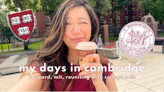 boston vlog  harvard mit college reunion a wedding exploring cambridge [upl. by Gnak478]