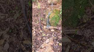 Natural Spring Water off trail in ITALY nature hiking beautiful relaxing [upl. by Robinia]