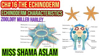 ZoologyMiller Harley Ch16 The Echinoderm Echinoderm Characteristics [upl. by Francisca225]