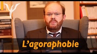 Agoraphobie les questions et surtout les réponses pour tous les agoraphobes [upl. by Adnertal]