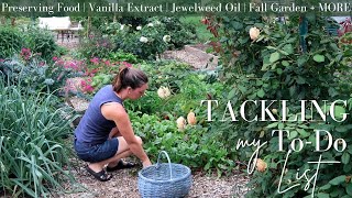 Getting Work DONE in the Homestead Kitchen amp Garden [upl. by Herstein]