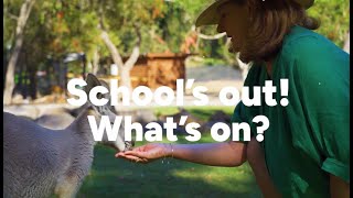 Whats on Winter School Holidays in South East Queensland [upl. by Celestine906]