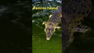 Ramree Island You Dont Want To Visit [upl. by Ahsenauj]