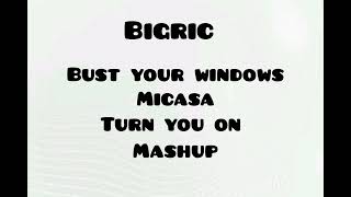 BigRic x beyonce x Micasa  bust your windows x turn you on acapella out mashup [upl. by Adnilec212]