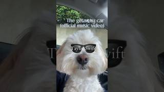 The getaway car Taylor Swift official music video🐕🐕🐕 [upl. by Halda]