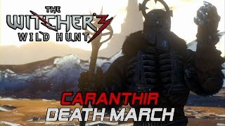 The Witcher 3 Wild Hunt  How to kill easily Caranthir on DEATH MARCH HD [upl. by Brittaney]