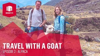 Travel With A Goat  Episode 2  Alpaca Full HD  Insight TV [upl. by Nosahc80]