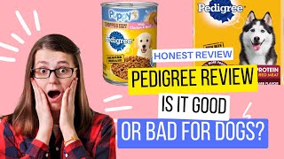 The Pedigree Dog Food Review Is It Good Or Bad For Dogs [upl. by Akimik795]