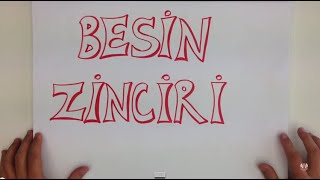 82 10dkda BESIN ZİNCİRİ [upl. by Michelle]