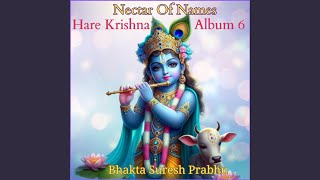 Hare Krishna Immortal Lord [upl. by Llevaj482]