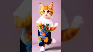 Billi dance video viralvideo catdance [upl. by Atiral]